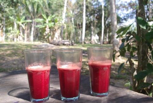 two glasses of red liquid sitting on a table at Niwe Mai plant medicine retreat in Tambo