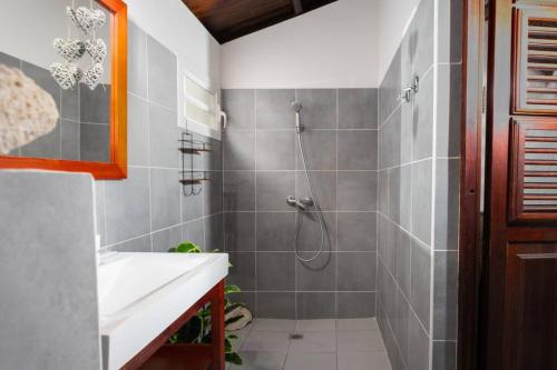 a bathroom with a shower and a sink at Appartement Alizé Vue Imprenable Sur La mer in Sainte-Luce