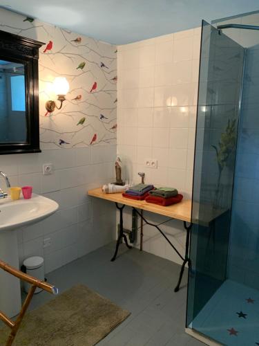 a bathroom with a sink and a shower at Chambres d Hôtes Les Filles Tresy in Passenans