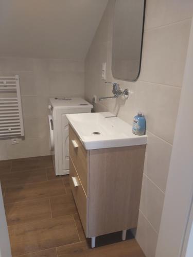 a bathroom with a sink and a washing machine at Apartamenty Łagiewniki in Krakow