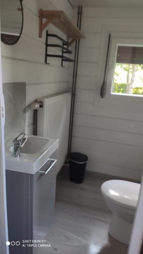 a bathroom with a sink and a toilet at Le petit chalet in Gapennes
