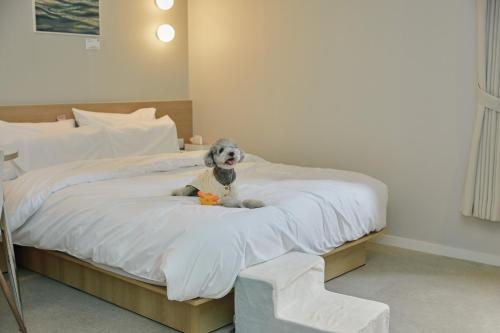 Cama o camas de una habitación en Aank Hotel Incheon Songdo