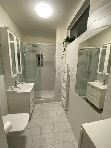a bathroom with a shower and a sink and a toilet at Apartament Czytelnia - parking gratis, klimatyzacja in Poznań
