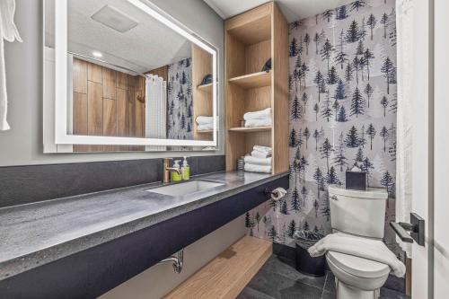 a bathroom with a sink and a toilet at MTN House By Basecamp in Canmore
