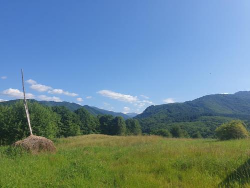 a pile of hay in a field with mountains in the background at Valea Doamnei in Nucşoara