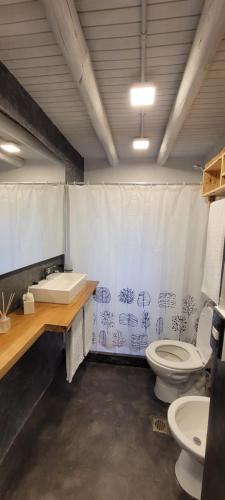 a bathroom with a sink and a toilet in it at Finca La Saucina Casa de Campo in Tunuyán