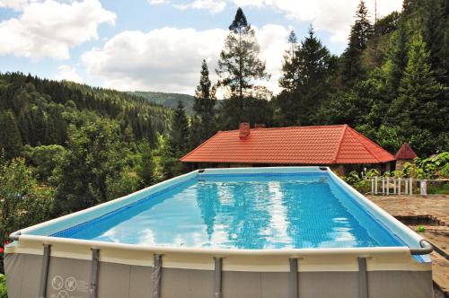 a large swimming pool with a red roof at Лісова казка in Slavske