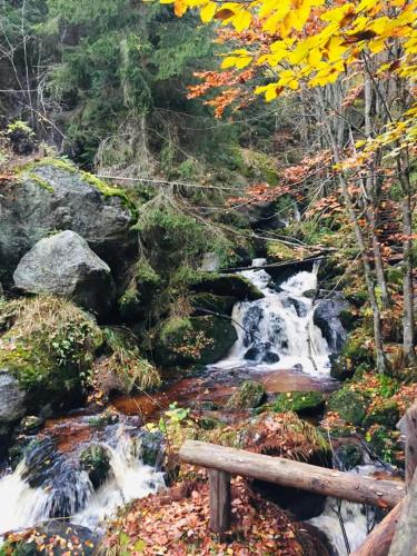 a stream with a wooden bench in front of a waterfall at hello. DIE FERIENWOHNUNG in Arbesbach