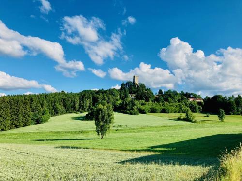 un campo verde con un castillo en la cima de una colina en hello. DIE FERIENWOHNUNG, en Arbesbach