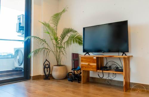 TV a/nebo společenská místnost v ubytování SOLEA 1 bedroom apartment - Central, comfortable, cozy, balcony, pool, gym
