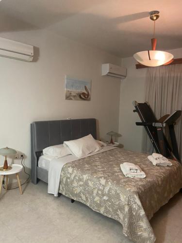 Krevet ili kreveti u jedinici u objektu MG luxury villa kalithies