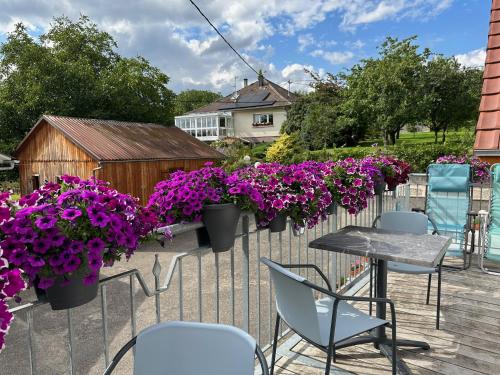 een patio met stoelen en paarse bloemen op een hek bij Au parfum des roses in Gunstett