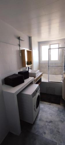 une salle de bain avec un lavabo et une machine à laver dans l'établissement Chez Manolo & Jolyne, à Givet