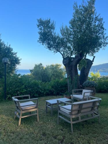 three chairs and a table and a tree at B&b Villa Jasmine in Palinuro