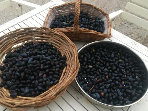 three baskets of blackberries sitting on a table at KYTHIRA ISLAND RETREAT in Áyios Ilías