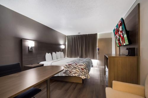 Pokój hotelowy z łóżkiem i biurkiem w obiekcie Red Roof Inn Vero Beach - I-95 w mieście Vero Beach