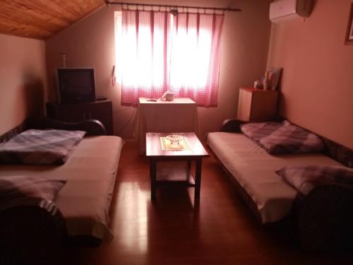 a room with two beds and a table and a window at Vikendica Petkovic in Crvica