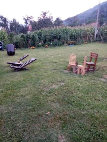 two chairs sitting in the grass in a field at Vikendica Petkovic in Crvica