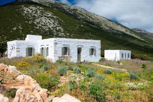 a white stone house in front of a mountain at Sifnos Themonies in Apollonia