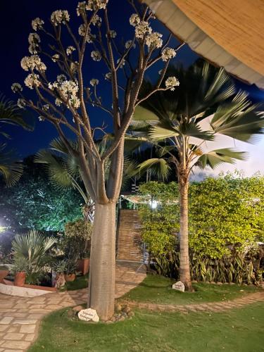 Gallery image of Le Jardin Exotique Hotel in Antsiranana