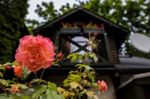 a pink flower in front of a bird house at Młynarzowy Dworek in Gdynia
