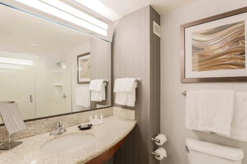 a bathroom with a sink and a mirror at Courtyard by Marriott San Jose Campbell in Campbell