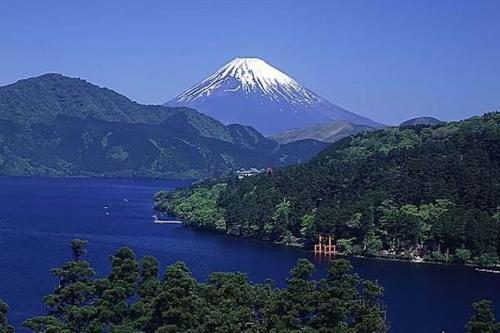 ゲストハウスの近くで見られる自然の景観