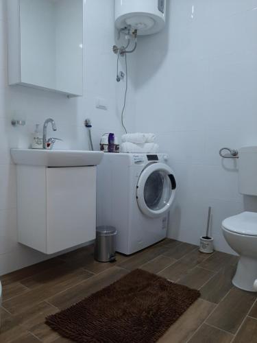 y baño con lavadora y lavamanos. en Apartman VIAGGIO en Sremska Mitrovica
