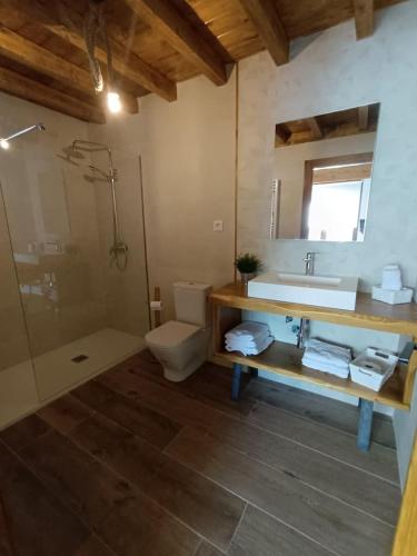 a bathroom with a sink and a toilet and a shower at MIRADOR DEL HITO I y MIRADOR DEL HITO II in Espinosa de Bricia