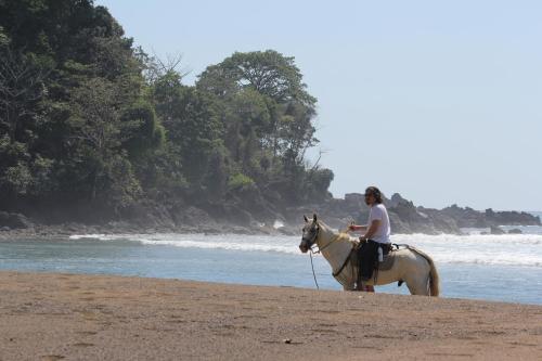 Foto dalla galleria di Copa De Arbol Beach & Rainforest Resort a Bahía Drake