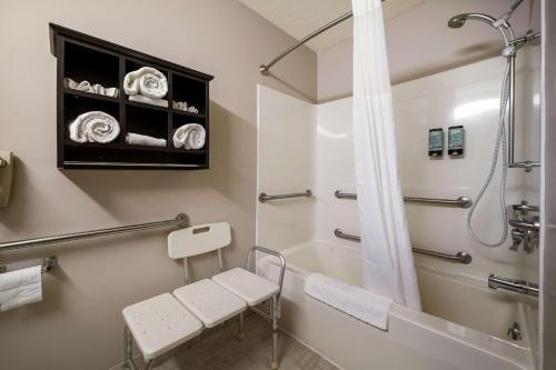 a bathroom with a shower and a toilet and a sink at Best Western Park Oasis Inn in Mauston