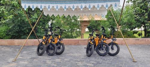 a group of bikes are lined up in a row at Radisson Blu Udaipur Palace Resort & Spa in Udaipur