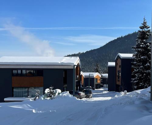 a group of buildings in the snow at A2 Apartment & Studio - Hrabovo, Ružomberok in Ružomberok