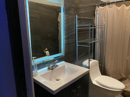 W łazience znajduje się umywalka, toaleta i lustro. w obiekcie Habitación independiente a 5 min de fundidora w mieście Monterrey
