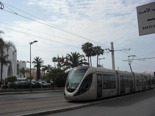a silver train traveling down a street with palm trees at Médina Flat in Rabat