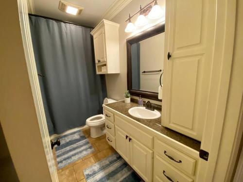 a bathroom with a sink and a toilet and a mirror at Drake on the Lake - False River, LA 