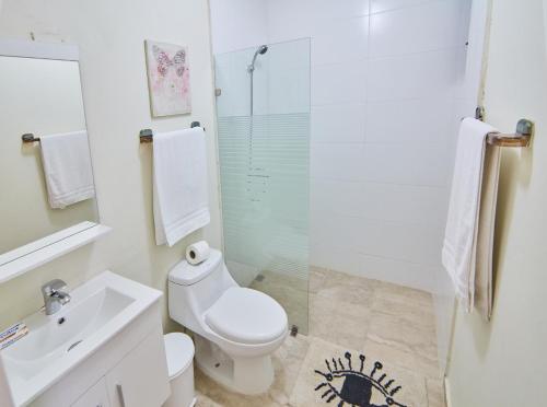 un bagno con wc, lavandino e doccia di Rentamos Aparta Estudio for short or long stay a Santo Domingo
