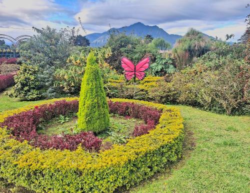 Zahrada ubytování Paraiso Orquideario