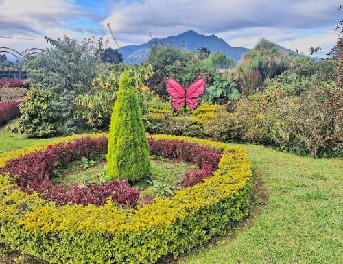 a pink butterfly sitting on top of a flower garden at Paraiso Orquideario in Baños