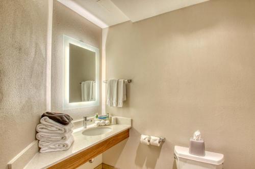 a bathroom with a sink and a toilet and a mirror at Holiday Inn Express Hotel & Suites Oshkosh - State Route 41 by IHG in Oshkosh