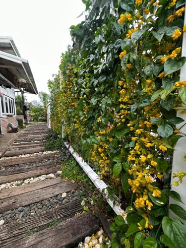 Taman di luar ปีกไม้วิลล่าบ้านMaya-มายา