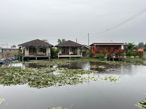 Permandangan sungai dekat dengan lodge