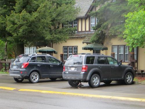 Φωτογραφία από το άλμπουμ του Crandell Mountain Lodge σε Waterton Park