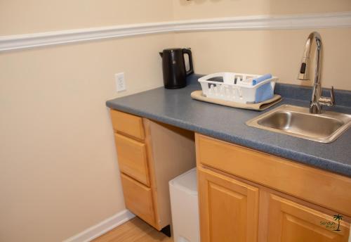 a kitchen counter top with a sink and a sink at Sandy's Place in East Stroudsburg