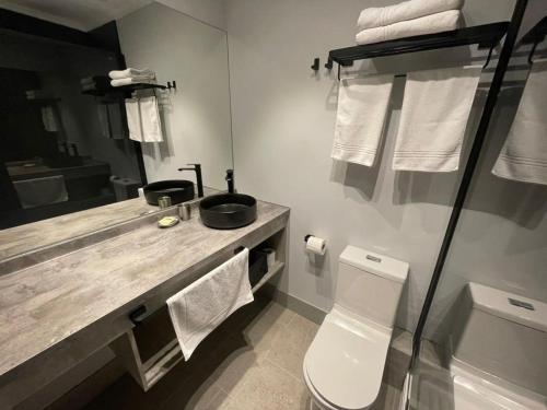 ein Badezimmer mit einem Waschbecken, einem WC und einem Spiegel in der Unterkunft Patagonia Apart Hotel - Suite in Punta Arenas