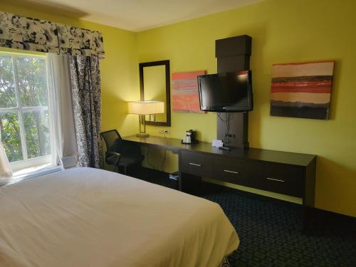 a hotel room with a bed and a desk and a tv at Holiday Inn Garland by IHG in Garland
