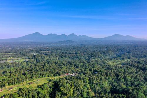 an aerial view of a forest with mountains in the background at Sunrise Villa in Payangan