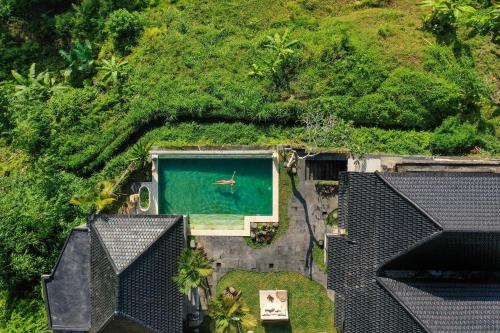 an overhead view of a swimming pool in a yard at Sunrise Villa in Payangan