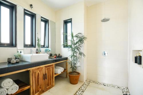 a bathroom with a sink and a potted plant at Sunrise Villa in Payangan