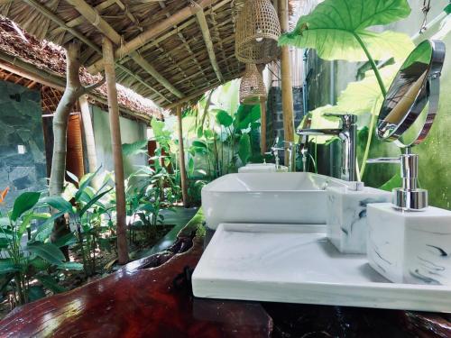 a bathroom with a sink and a mirror and plants at Thavill Retreat HaGiang in Ha Giang